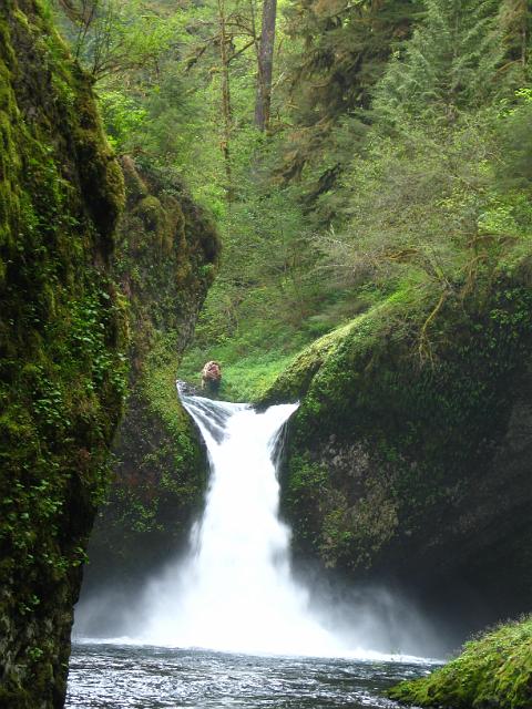 Eagle Creek-125.JPG - Punch Bowl Falls